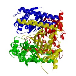 Image of CATH 1o24