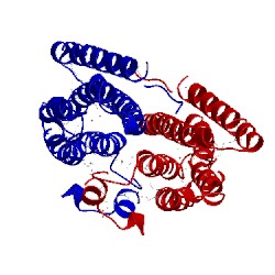Image of CATH 1o5h