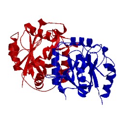 Image of CATH 1o6e