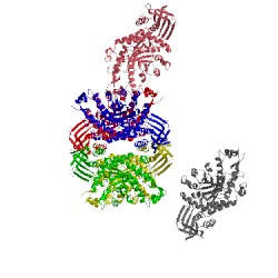 Image of CATH 1o7a