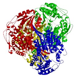 Image of CATH 1o9j