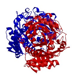 Image of CATH 1o9p