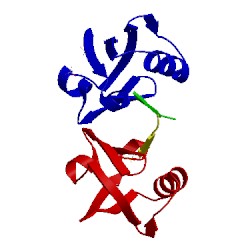 Image of CATH 1oby