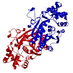 Image of CATH 1oc2