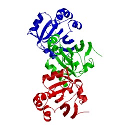 Image of CATH 1oc3