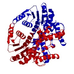 Image of CATH 1oc4