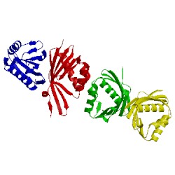 Image of CATH 1ocv