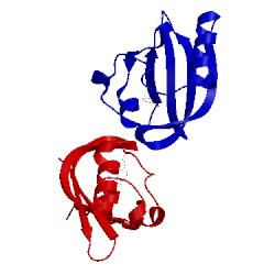 Image of CATH 1odv