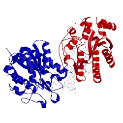 Image of CATH 1oe4