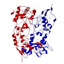 Image of CATH 1ofw