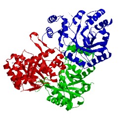 Image of CATH 1og6