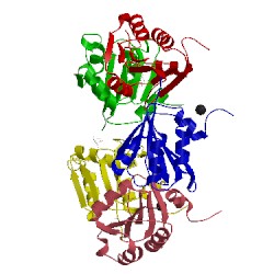 Image of CATH 1ogd