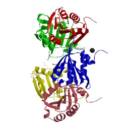 Image of CATH 1ogf