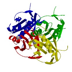 Image of CATH 1oi0