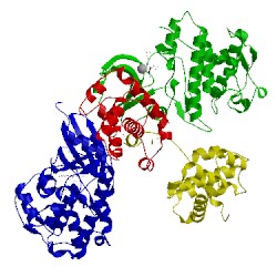 Image of CATH 1oi9