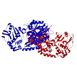 Image of CATH 1oid