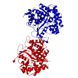 Image of CATH 1oif