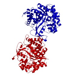 Image of CATH 1oim