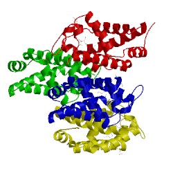 Image of CATH 1oj6