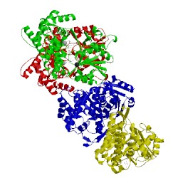 Image of CATH 1oj7