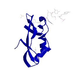 Image of CATH 1oj8