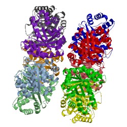 Image of CATH 1ok4