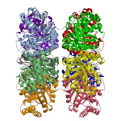 Image of CATH 1ok6
