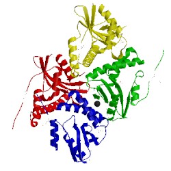 Image of CATH 1on0