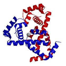 Image of CATH 1on2