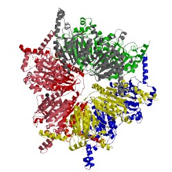 Image of CATH 1on3