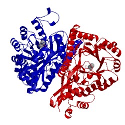 Image of CATH 1one