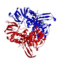 Image of CATH 1onx