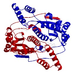 Image of CATH 1oo5