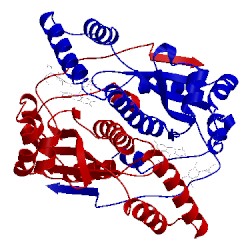 Image of CATH 1oo6