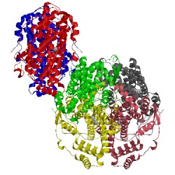 Image of CATH 1oq4