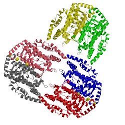 Image of CATH 1oq7