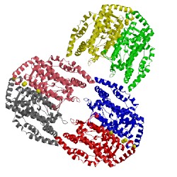 Image of CATH 1oq7