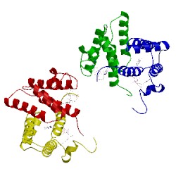 Image of CATH 1oqc