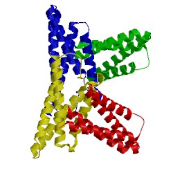 Image of CATH 1orj