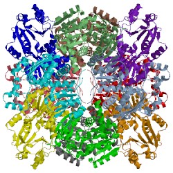 Image of CATH 1ort