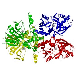 Image of CATH 1os7