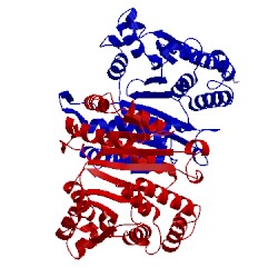 Image of CATH 1osj