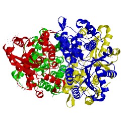 Image of CATH 1osn