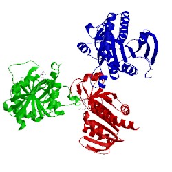 Image of CATH 1oum