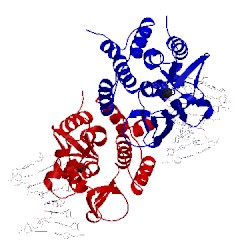 Image of CATH 1oup