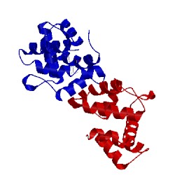 Image of CATH 1ow4