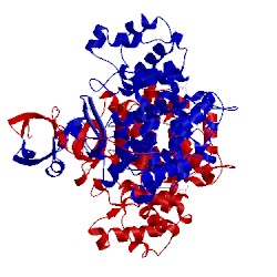 Image of CATH 1owb