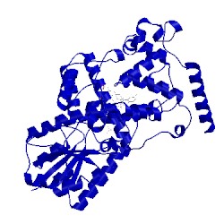 Image of CATH 1owm