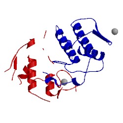 Image of CATH 1ows