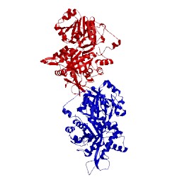 Image of CATH 1ox5